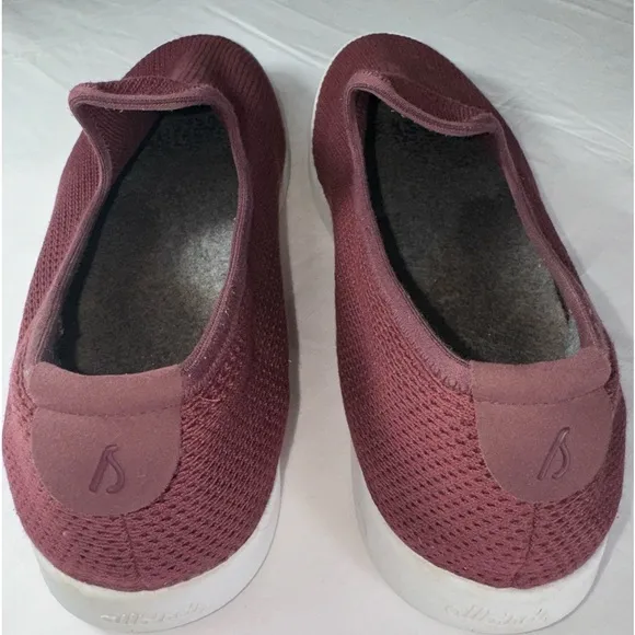 Allbirds Men's Tree Loungers.size 12