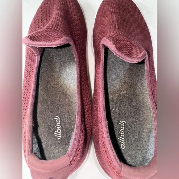 Allbirds Men's Tree Loungers.size 12