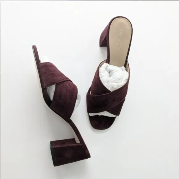 Ann Taylor Honor Slide Sandal Suede Block Heel Cross Cross Sandals NEW Box 8.5