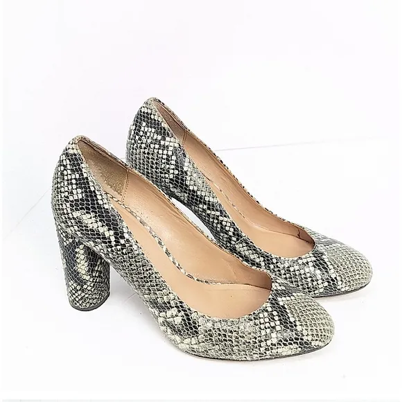 Banana Republic | Women’s grey/white/black snakeskin pattern oval heels, sz 6.5