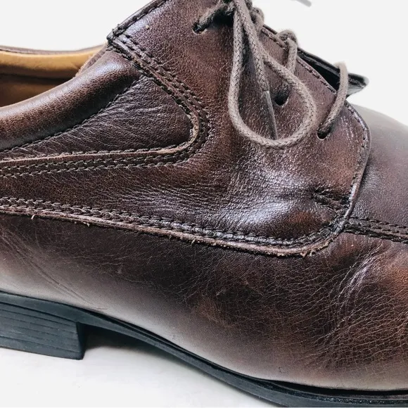 Belvedere Studio Brown Oxfords