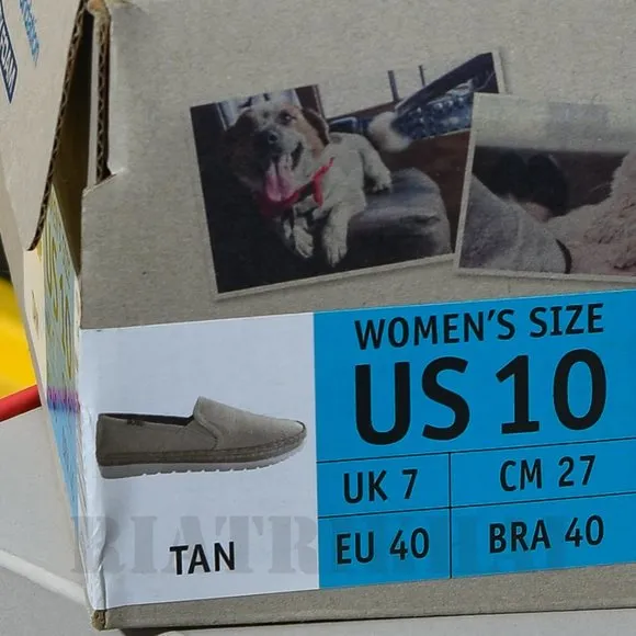BOBS from Skechers Ladies Slip On Shoes with Memory Foam