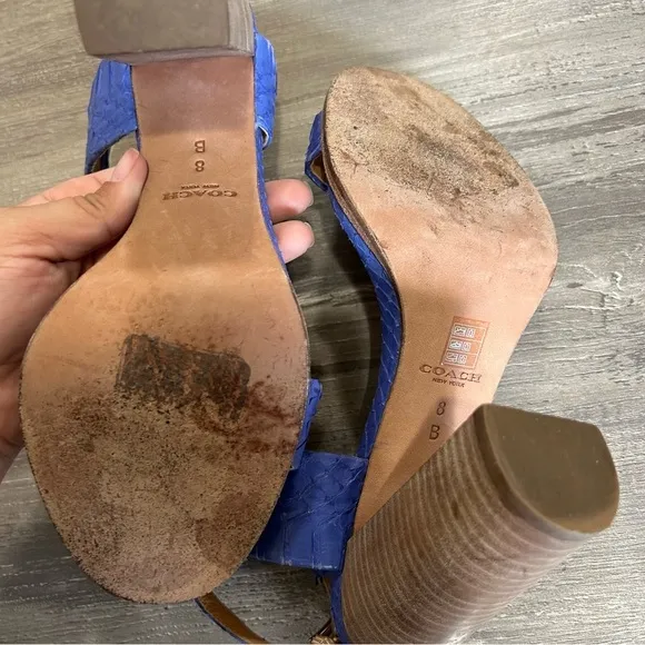 Coach Lexey Indigo Blue Snake Skin Sandal Heels