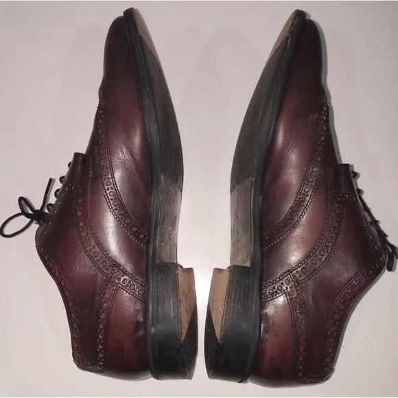 Cole Haan Wing Tip Oxfords Leather Shoes Mens Size 10 M Burgundy