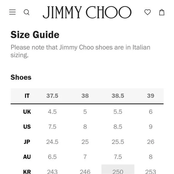 Jimmy Choo Heels