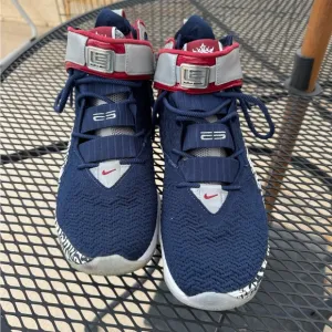 Lebron 17 Remix size 11
