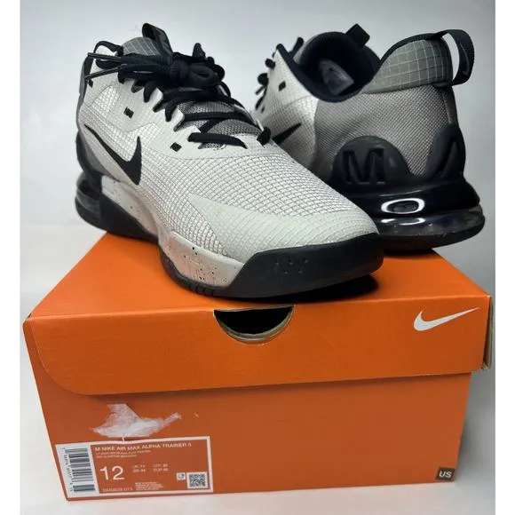 Nike Air Max Alpha Trainer 5 Shoes 'Light Iron Ore' (DM0829-013), Men Size 12