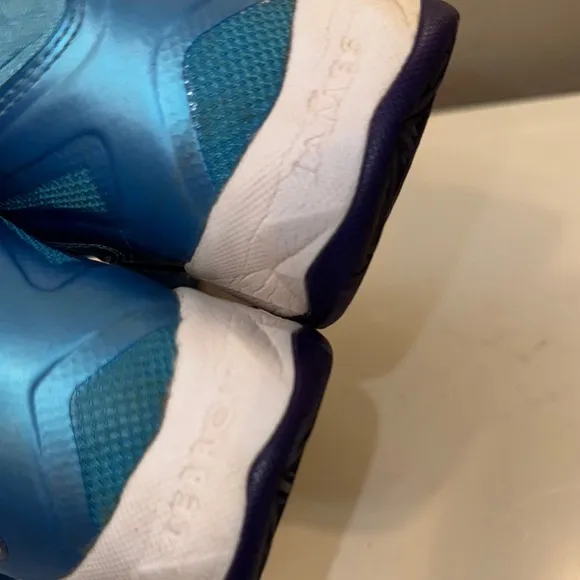 Nike Blue and Purple High-Top Sneakers with Strap — “LeBron James”