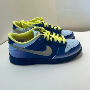 Nike Dunk Low Bg Big Kids Shoes