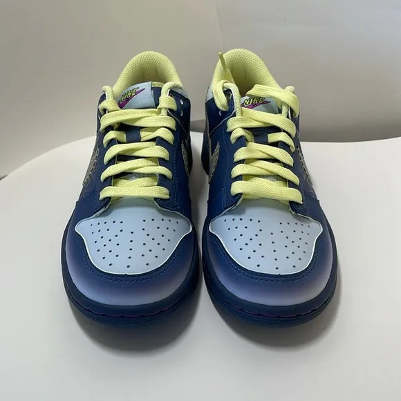 Nike Dunk Low Bg Big Kids Shoes