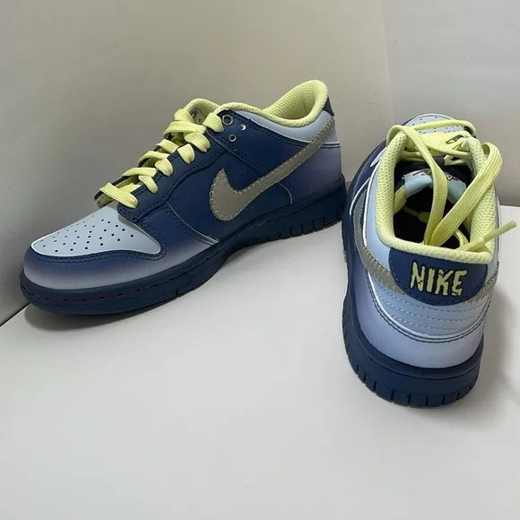 Nike Dunk Low Bg Big Kids Shoes