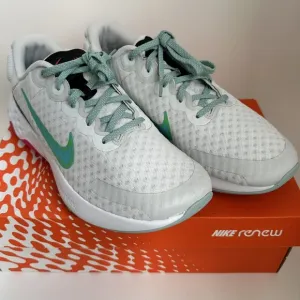 Nike Renew Ride 3 Women Shoes Size 11 Photon Dust Lightweight DC8184 006 NWB