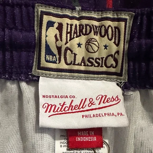 Toronto Raptors Mitchell &amp; Ness Authentic Swingman Shorts