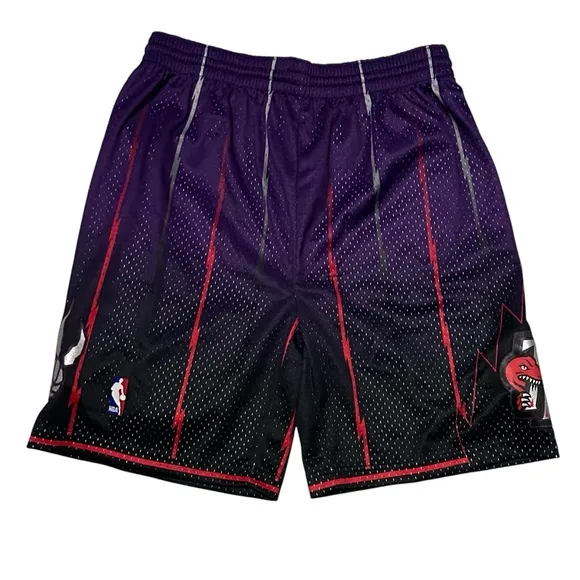 Toronto Raptors Mitchell &amp; Ness Authentic Swingman Shorts