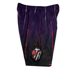 Toronto Raptors Mitchell &amp; Ness Authentic Swingman Shorts