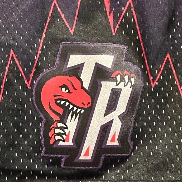 Toronto Raptors Mitchell &amp; Ness Authentic Swingman Shorts