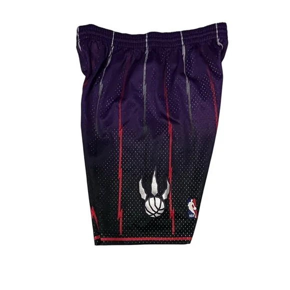Toronto Raptors Mitchell &amp; Ness Authentic Swingman Shorts