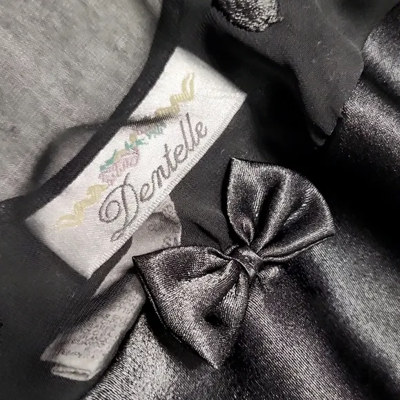 Vintage Black Sheer Mesh Satin Silk Embroidered Lingerie Chemise Slip Dress